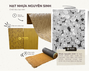 hat nhua nguyen sinh