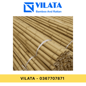 Cây Tre Khô Trang Trí