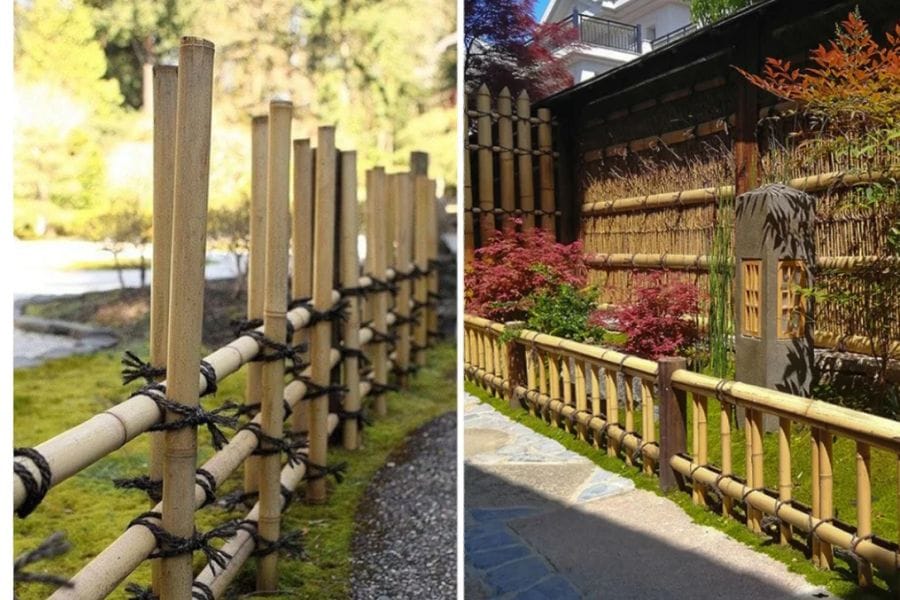 Hang rao tre nhan tao 1