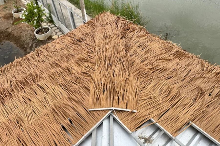 Thi cong lop mai rom nhan tao