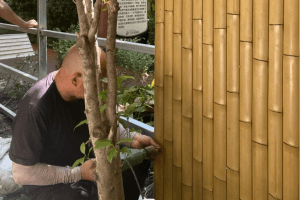 Tien hanh thi cong vach nha tre trang tri