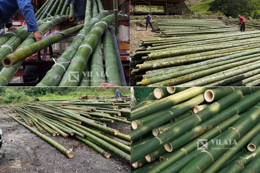 Cach dong thang tre 1