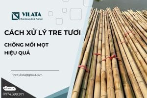 Cach xu ly tre tuoi