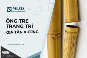 Ong tre trang tri