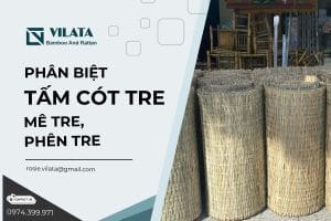 Phan biet tam cot tre 1