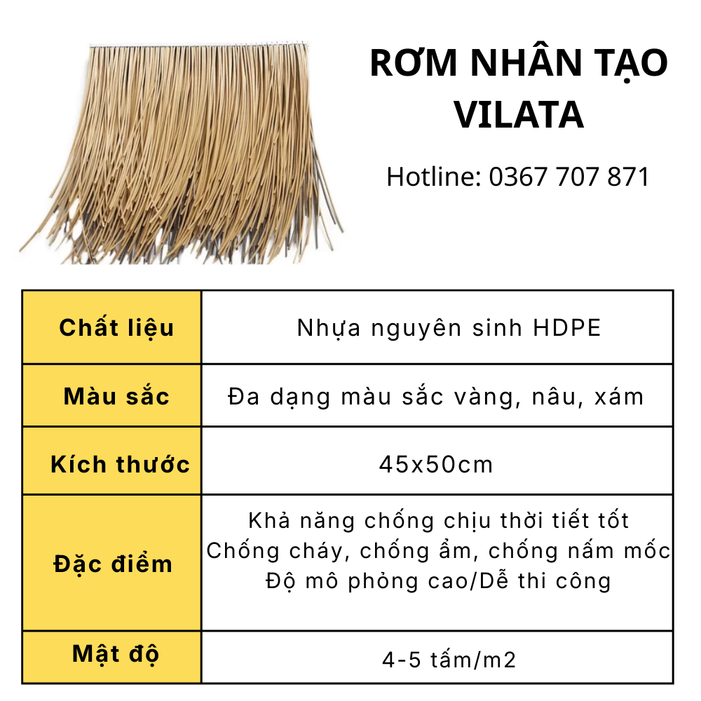 ROM NHAN TAO 12