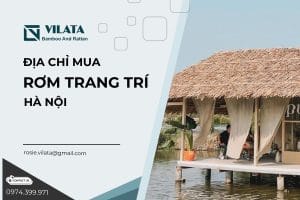 Rom trang tri Ha Noi 3