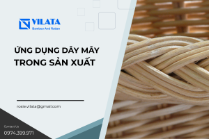 UNG DUNG DAY MAY TU NHIEN