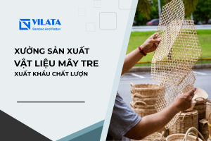 XUONG SX VAT LIEU MAY TRE 1