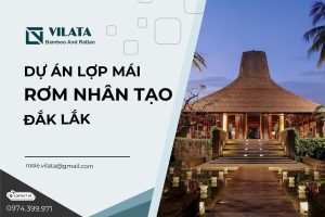 Rom nhan tao Daklak 2