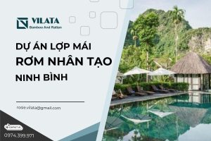 Rom nhan tao Ninh Binh 2
