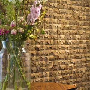 tam kham go gao dua op tuong