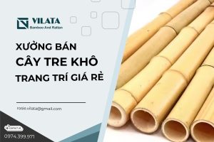bán cây tre khô
