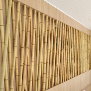 Cay tre kho trang tri