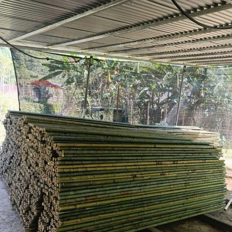 z7492157911862 9410551587df8f682b5bf566c29ef181